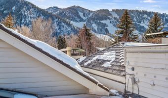 990 E Hopkins Ave, Aspen, CO 81611