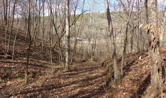 6608 Sand Valley Rd, Attalla, AL 35954