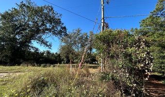 20 Ac State Hwy 95 Columbia Rd, Abbeville, AL 36310