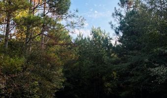644 Ash-Harrel Loop, Abbeville, GA 31001