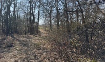 COUNTY ROAD 1575, Alba, TX 75410