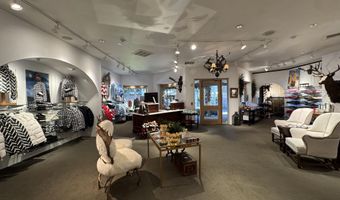 419 E Cooper Ave, Aspen, CO 81611