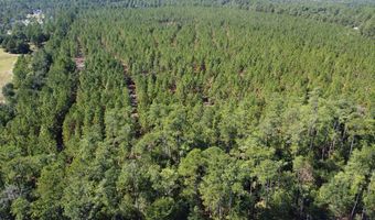 TBD Hwy 5 S, Aberdeen, NC 28315