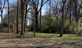 232 E Calhoun St, Bruce, MS 38915