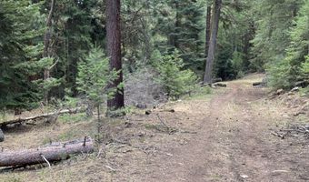 20894 Pioneer Ln, Bridgeport, OR 97818