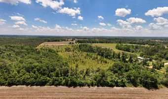Lot # 3 - 6.2+/- Perry Horton, Adrian, GA 31002