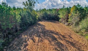 0 County Road 127, Banks, AL 36005