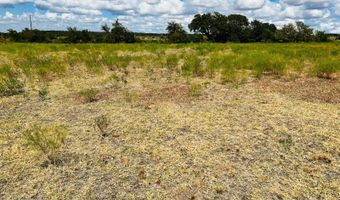 TBD County Road 647, Pottsville, TX 76565