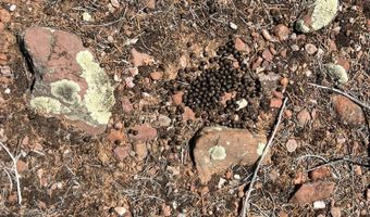 164 Rattlesnake Rd, Ash Fork, AZ 86320