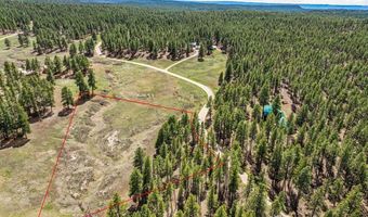 841 Beaver Creek Dr, Bayfield, CO 81122