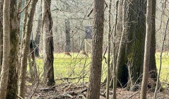 Putnam Road, Belzoni, MS 39038