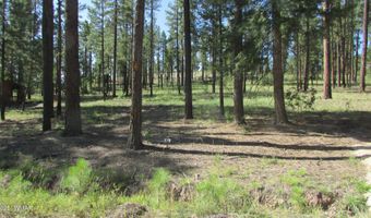 8 County Road 2194, Alpine, AZ 85920