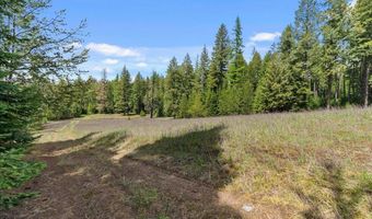 Nna Mesa Drive, Careywood, ID 83809
