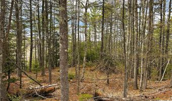 TM 413 L 99 King Road, Alexandria, NH 03222