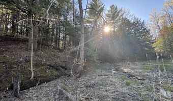 V/L Wildwood Road lot 9, Alger, MI 48610