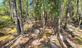 Spruce Mountain Lake, Beddington, ME 04622