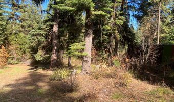 541 W Mountain Rd Lot 58, Cascade, ID 83611