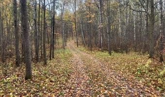 61 Xx Evening Vista Trl NW, Akeley, MN 56433