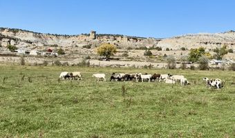ROAD 4599, Blanco, NM 87412