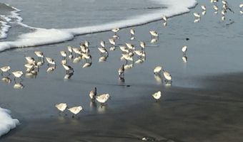 300 N PACIFIC St 37, Rockaway Beach, OR 97136