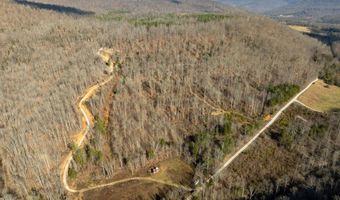 700 Acres Puncheon Creek Ln, Allred, TN 38542
