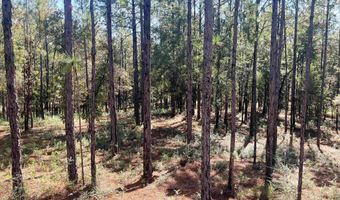 0 State Highway 225, Bay Minette, AL 36507