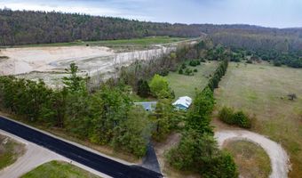 8279 Luce St, Alanson, MI 49706