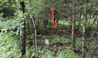 1386 Clif Reynolds Rd, Cambridge, VT 05444