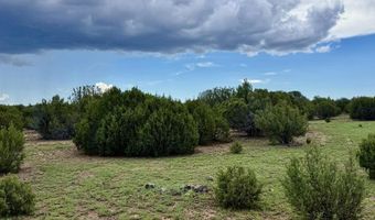 85 CR 8128 Lots 100 101 & 108, Concho, AZ 85924