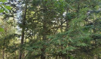 Back Searsport Road, Belfast, ME 04915