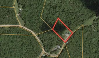 889 County Road 101, Alton, MO 65606