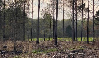 03 County Road 6650, Banks, AL 36005