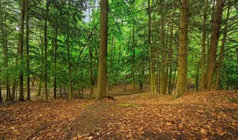 Erdman Road, Arcadia, MI 49660