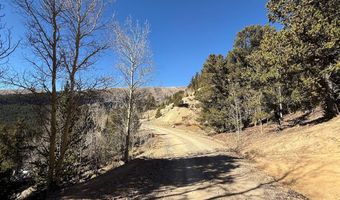 0 County Road 787, Alma, CO 80420