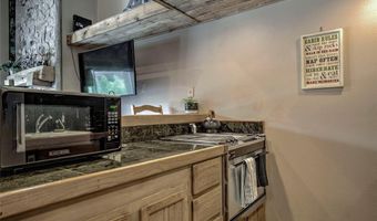 600 S Park Ave 218, Breckenridge, CO 80424
