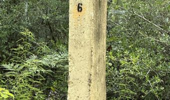 40 Ac +/- Old River Rd, Baker, FL 32531