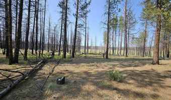 Parazoo Trail Lot 2 Block 8, Bly, OR 97622