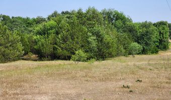 County Road 1270, Alvord, TX 76225