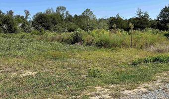 5675 Nixon Chapel Rd, Albertville, AL 35950