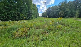 Tbd 162nd Street, Apple River, WI 54001