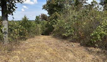 Hc 73 Box 4925 Track 20, Ava, MO 65608