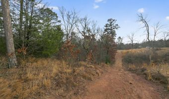 868 County Road 2920, Alba, TX 75410