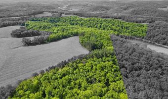 61 42 Acres Zwettler Rd, Arena, WI 53517