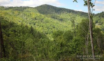 461 Reuben Wooten Rd, Banner Elk, NC 28604