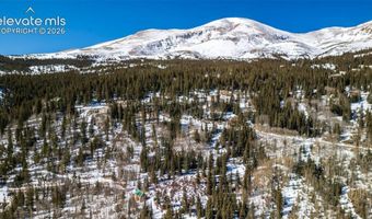 944 Roberts Rd, Alma, CO 80420