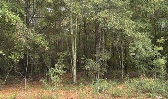 Lot 33 Marie Lane, Bainbridge, GA 39817