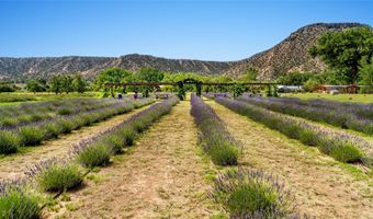 Purple ADOBE LAVENDER FARM 25 Private Dr 1622, Abiquiu, NM 87510