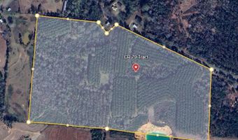 0 County Road 79 S, Baker Hill, AL 36027