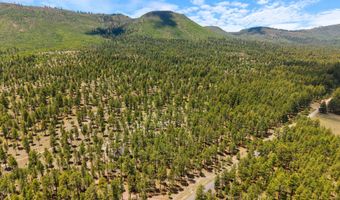 98 County Road 2266, Alpine, AZ 85920