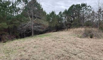 34655 Co Rd 49, Beaverton, AL 35544